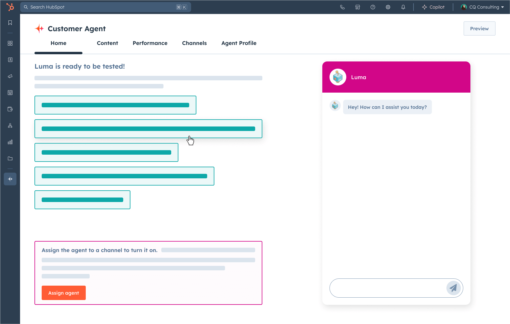 Customer Agent Assign Agent