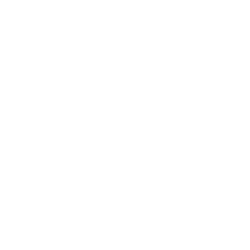 Hubspot Platinum Logo